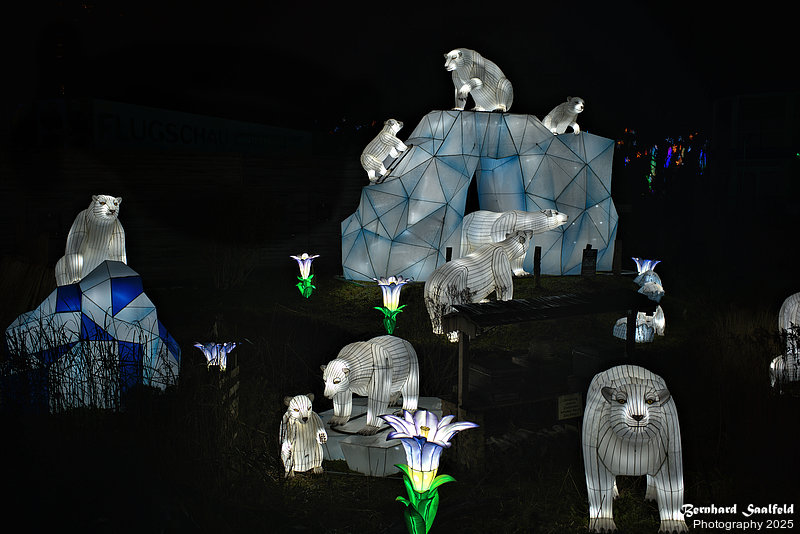 Bernhard Saalfeld - ChinaLightKoelnerZoo2025 (9v9)